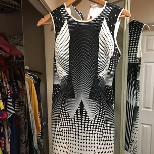 Clover  canyon dress.